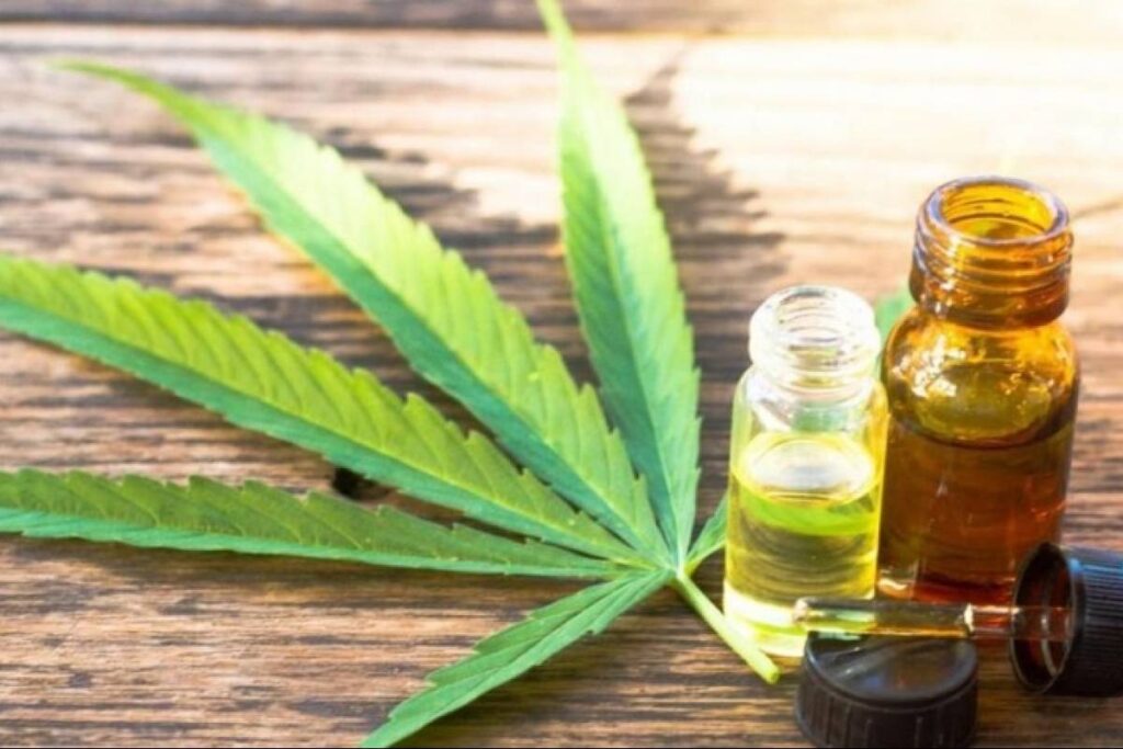 Factors To Consider When Buying CBD Oil for Your Pets. 
